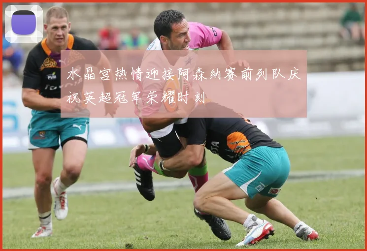 水晶宫热情迎接阿森纳赛前列队庆祝英超冠军荣耀时刻